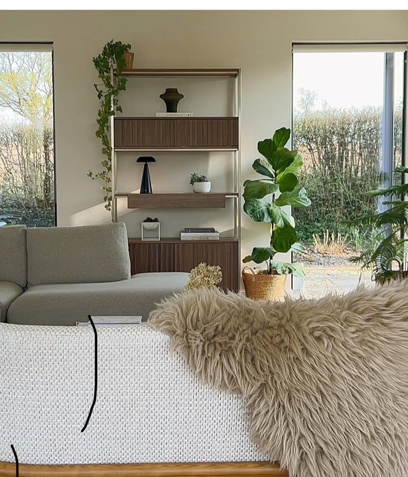 Modern living room with a gray sofa, white rug, and wooden bookshelf.