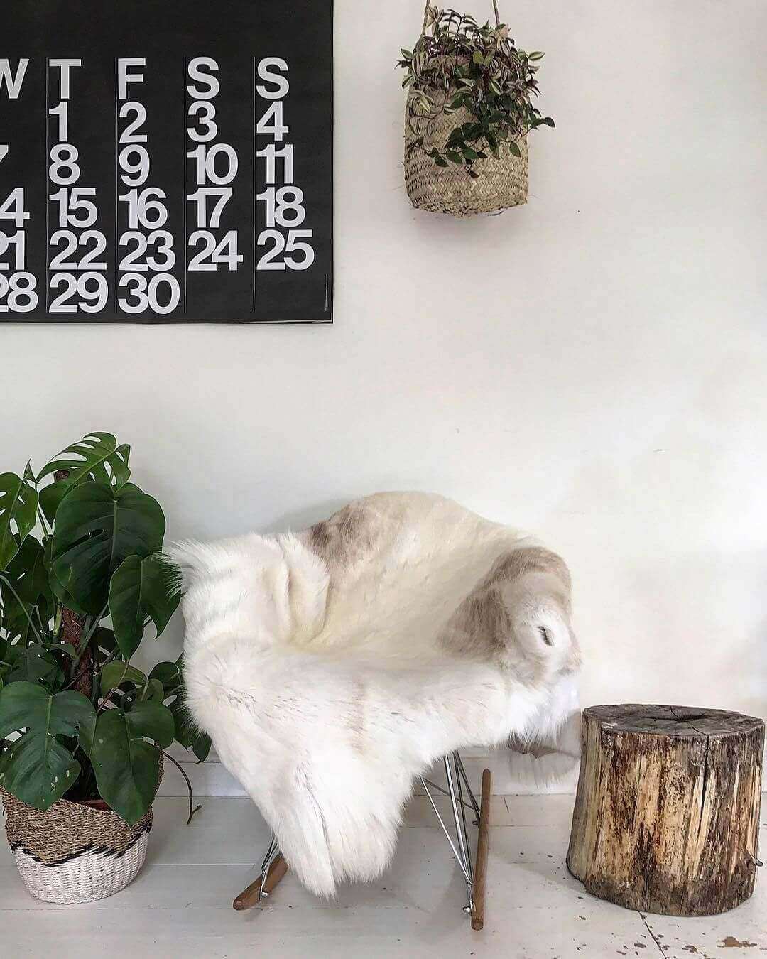 Nordic Hide Reindeer Collection (Two Hides)