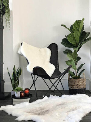 Large Ivory Short Wool Shearling Throw