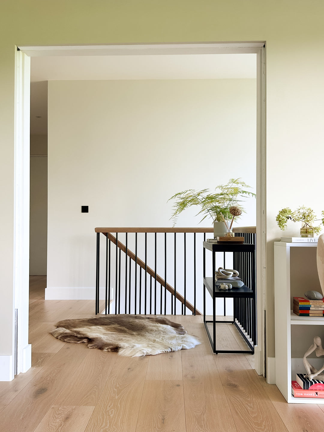 Reindeer Hide Rug Dark Tones